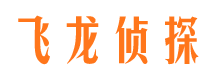 西和调查事务所